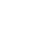 Society of Insurance Broking